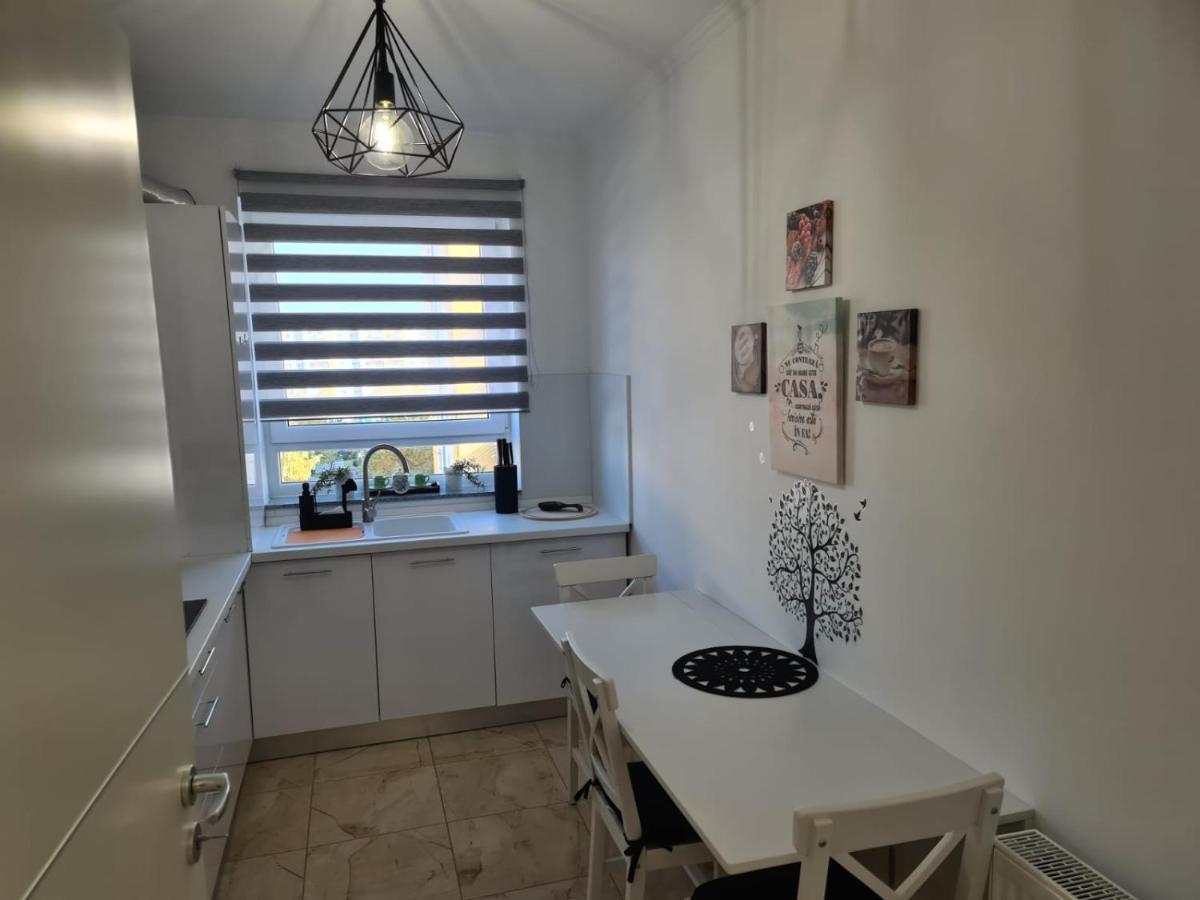 Oscar House Apartment Брашов Екстериор снимка